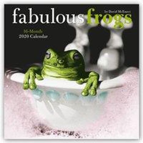 Fabulous Frogs - Fabelhafte Frösche 2020 - 16-Monatskalender, Buch