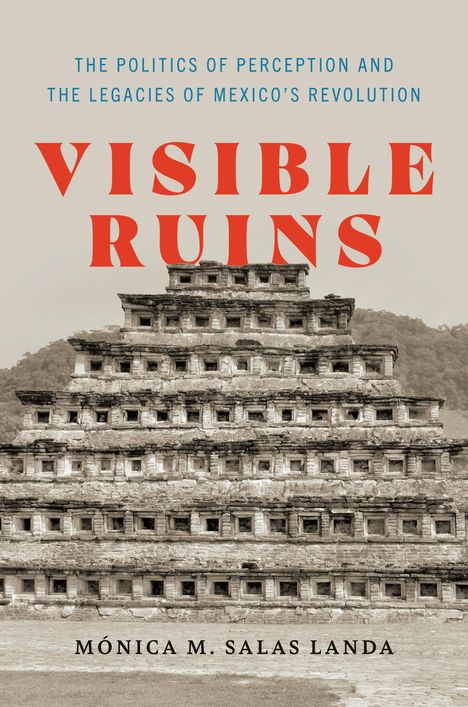 Mónica M Salas Landa: Visible Ruins, Buch