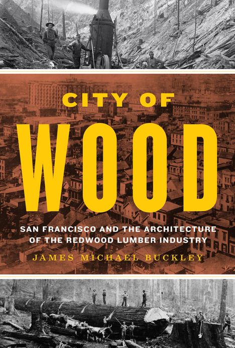 James Michael Buckley: City of Wood, Buch