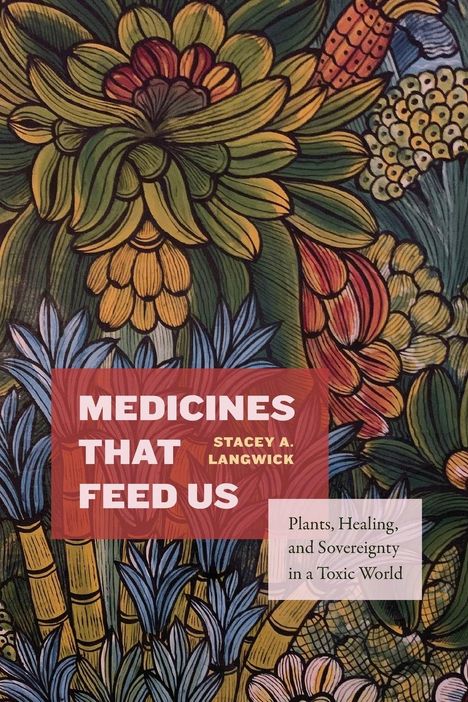 MEDICINES THAT FEED US, Stacey A. Langwick. Bunte abstrakte Pflanzenillustration im Hintergrund.