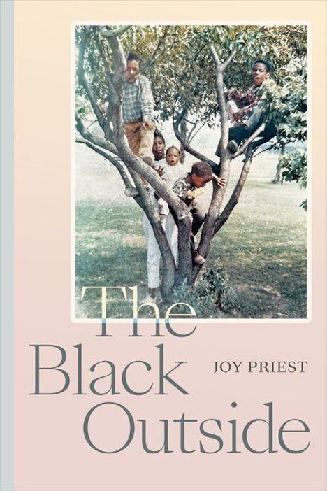 "The Black Outside" von Joy Priest. Kinder klettern auf einem Baum in einem Park. 