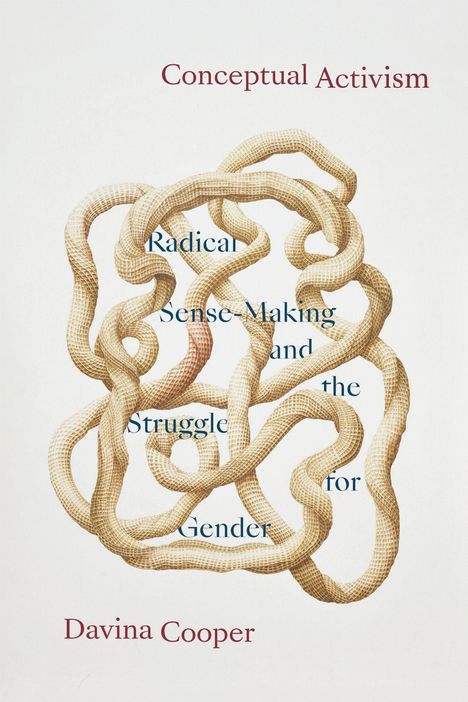 Text: "Conceptual Activism", "Radical Sense-Making and the Struggle for Gender", "Davina Cooper". Flechtwerk aus geflochtenen Bändern.