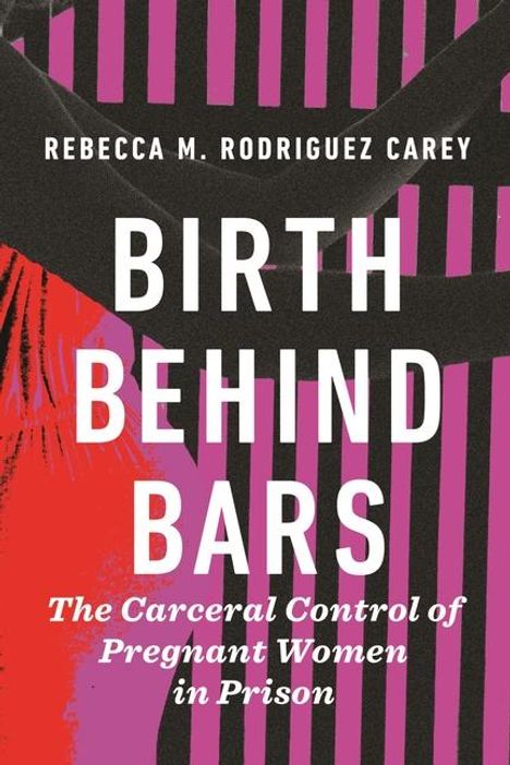 Rebecca M Rodriguez Carey: Birth Behind Bars, Buch