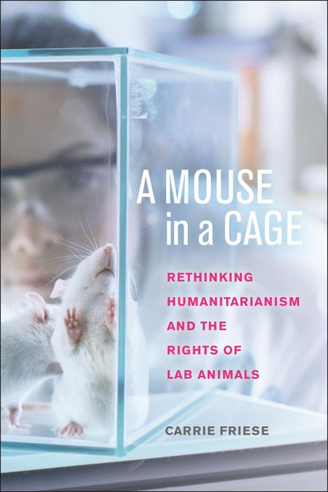 Carrie Friese: A Mouse in a Cage, Buch