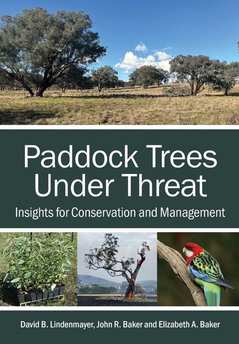 "Paddock Trees Under Threat: Insights for Conservation and Management." Drei Fotos zeigen Bäume, Setzlinge und einen Papagei.