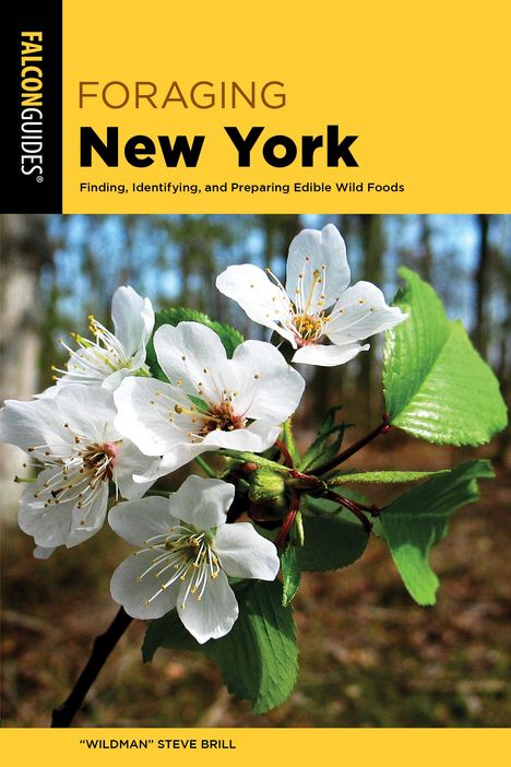 Brill: Foraging New York, Buch