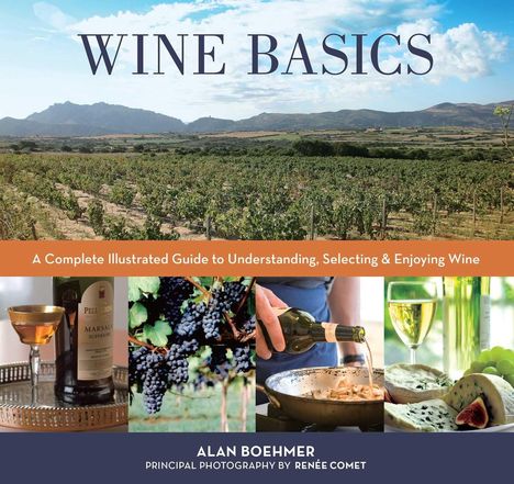 "WINE BASICS" über einem Weinberg, gefolgt von Fotos: Glas, Trauben, Weinflasche beim Einschenken, Käseplatte.