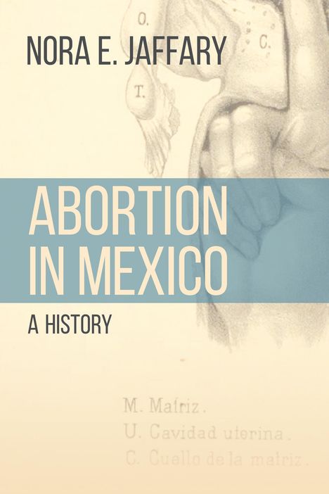 Nora E. Jaffary: Abortion in Mexico, Buch