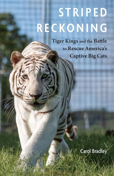 Text: "Striped Reckoning: Tiger Kings and the Battle to Rescue America's Captive Big Cats" von Carol Bradley. Ein weißer Tiger im Gras.