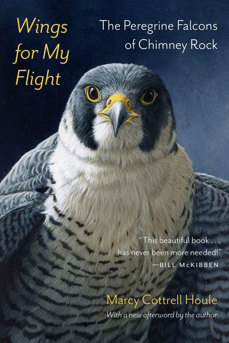 „Wings for My Flight: The Peregrine Falcons of Chimney Rock“ von Marcy Cottrell Houle, zeigt einen Wanderfalken.