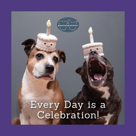 Jani Oja: Sookie and Ivy Every Day Is a Celebration!, Buch