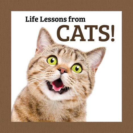 Grace Peterson: Life Lessons from Cats, Buch