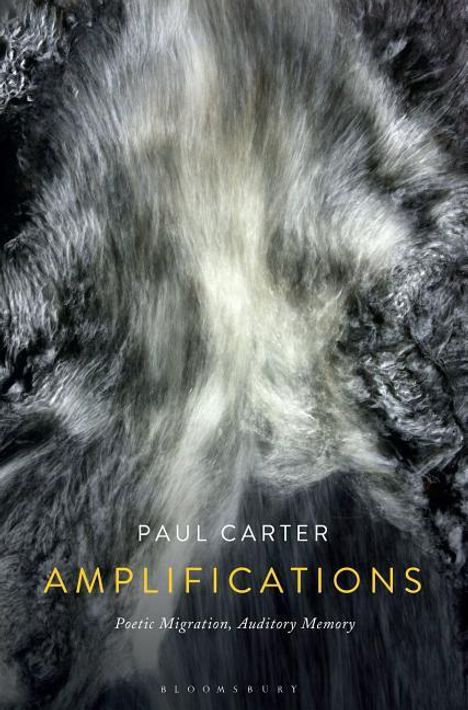 Paul Carter: Amplifications, Buch