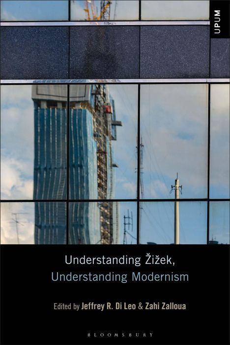 Understanding Zizek, Understanding Modernism, Buch