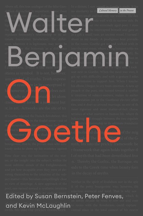 Walter Benjamin: On Goethe, Buch