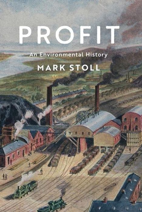 Mark Stoll: Profit, Buch
