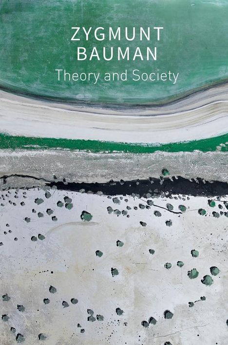 Zygmunt Bauman: Theory and Society, Buch