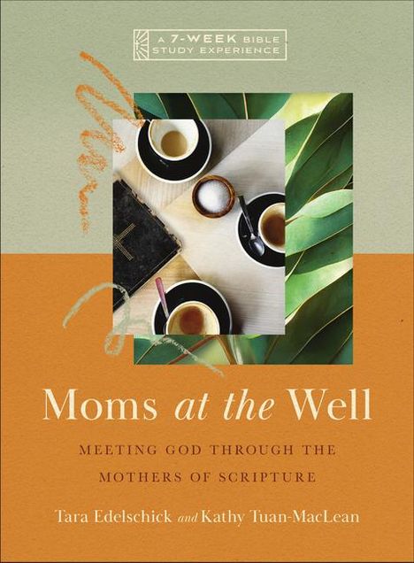 Tara Edelschick: Moms at the Well, Buch