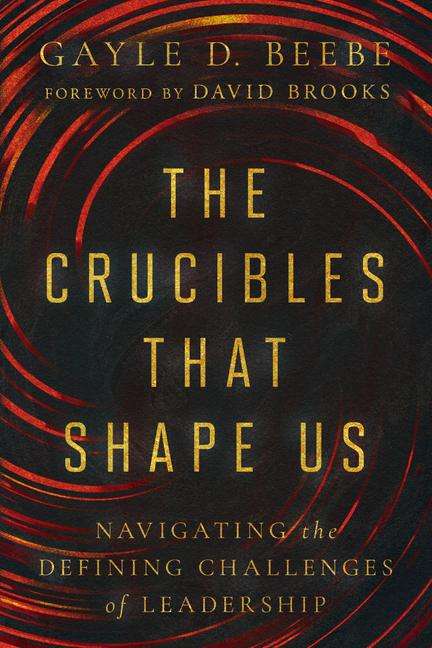 Gayle D Beebe: The Crucibles That Shape Us, Buch