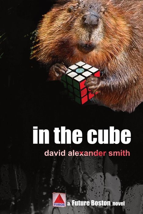 David Alexander Smith: In the Cube, Buch