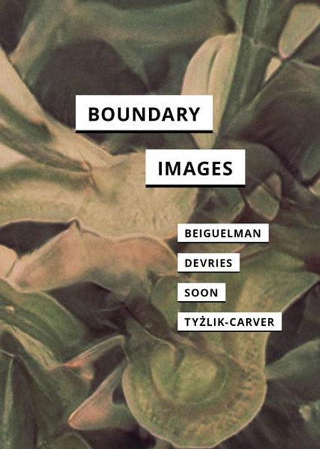 Giselle Beiguelman: Boundary Images, Buch