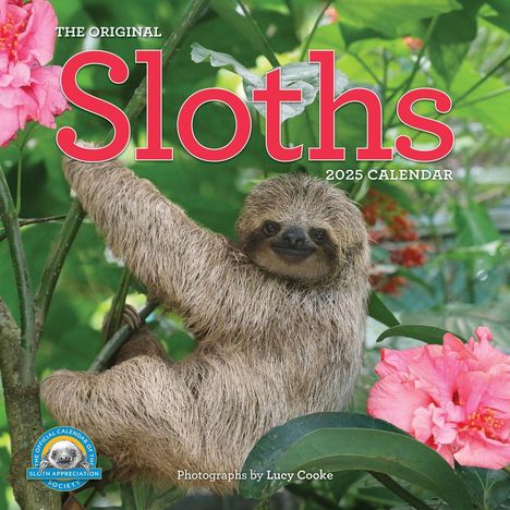 Lucy Cooke: Original Sloths Wall Calendar 2025, Kalender