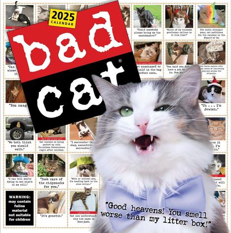 Harry Prichett: Bad Cat Wall Calendar 2025, Kalender