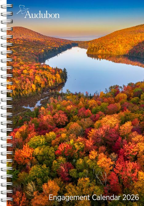 Workman Calendars: Audubon Engagement Calendar 2026, Kalender