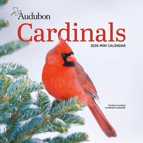 Workman Calendars: Audubon Cardinals Mini Wall Calendar 2026, Kalender