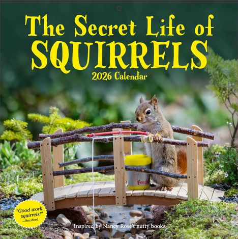 Nancy Rose: Secret Life of Squirrels Wall Calendar 2026, Kalender