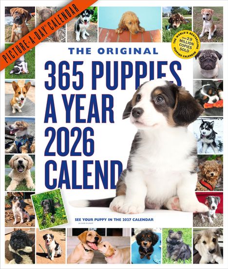 Workman Calendars: 365 Puppies-A-Year Picture-A-Day(r) Wall Calendar 2026, Kalender