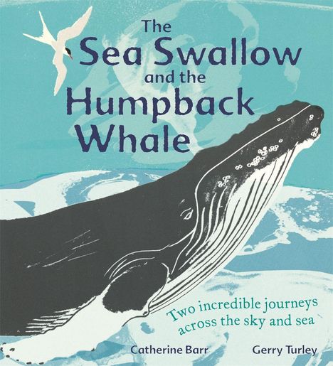 Catherine Barr: Barr, C: The Sea Swallow and the Humpback Whale, Buch