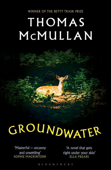 „Winner of the Betty Trask Prize“, „THOMAS McMULLAN“, „GROUNDWATER“. Ein Rehkitz liegt im Wald auf einer Lichtung.