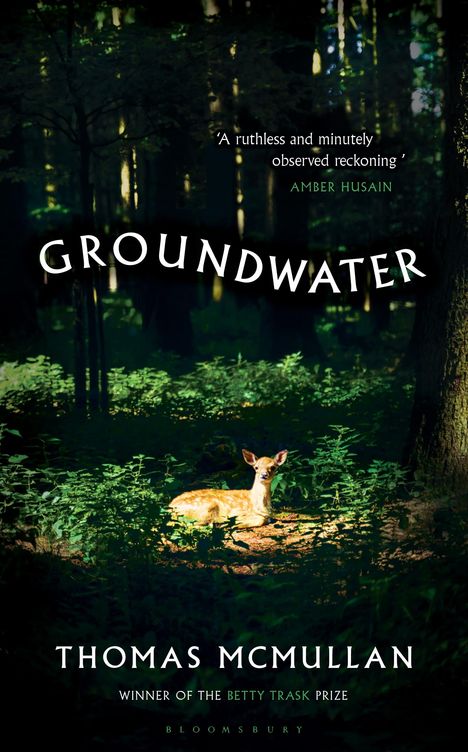 Thomas McMullan: Groundwater, Buch