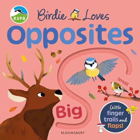 „Birdie Loves Opposites“ steht groß oben, „Big“ und „Small“ daneben. Illustration: Hirsch, Vögel, Blätter.