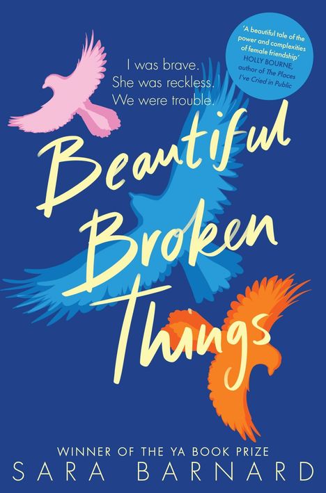 Sara Barnard: Beautiful Broken Things, Buch