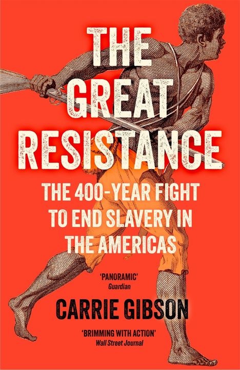 „THE GREAT RESISTANCE: THE 400-YEAR FIGHT TO END SLAVERY IN THE AMERICAS“. Eine Illustration eines kämpfenden Mannes.