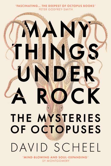 David Scheel: Many Things Under a Rock, Buch