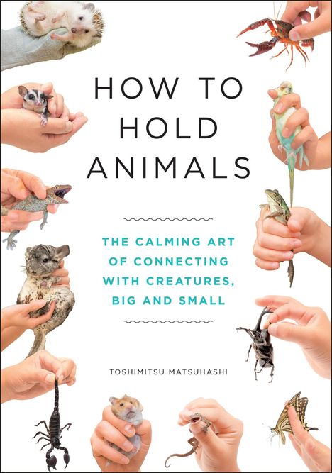 Toshimitsu Matsuhashi: How to Hold Animals, Buch