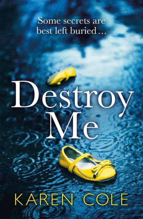 Karen Cole: Destroy Me, Buch