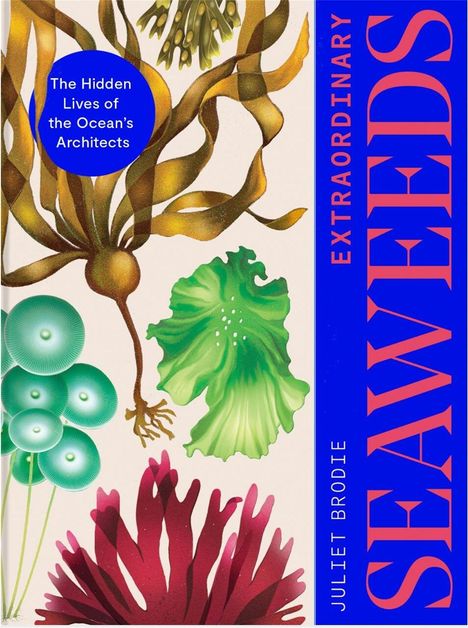 Text: "The Hidden Lives of the Ocean's Architects" und "Extraordinary Seaweeds". Illustration von verschiedenen Algen.