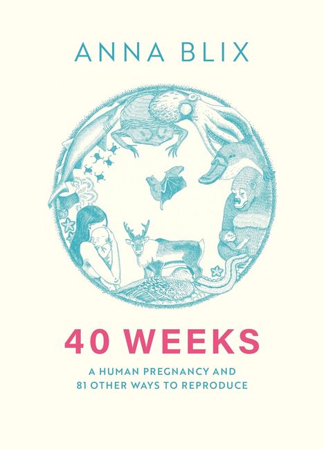 Anna Blix: 40 Weeks, Buch