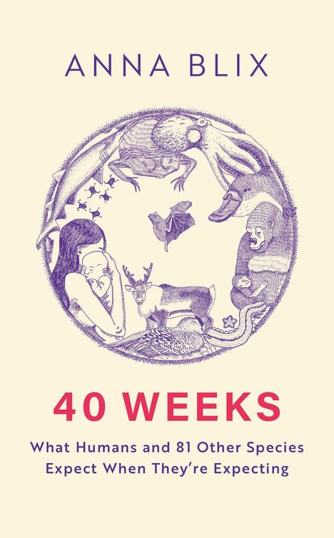 ANNA BLIX, 40 WEEKS. Illustration von Tieren, einer Frau mit Baby, Gorilla und anderen Tierarten.
