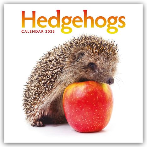Carousel Calendar: Hedgehogs - Igel 2026 - Wand-Kalender, Kalender