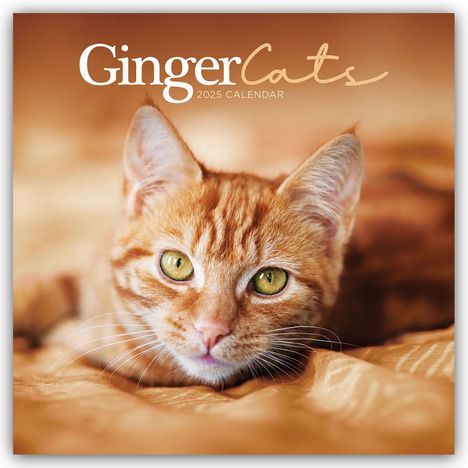 Carousel Calendar: Ginger Cats - Rothaarige Katzen 2025 - Wand-Kalender, Kalender