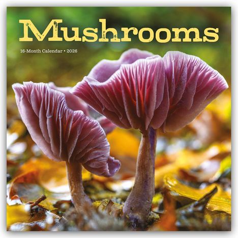 Carousel Calendar: Mushrooms - Pilze 2026 - Wand-Kalender, Kalender