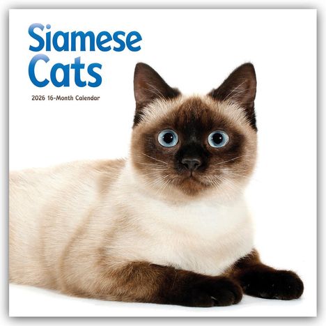 Carousel Calendar: Siamese Cats - Siamesische Katzen - Siamkatzen 2026 - Wand-Kalender, Kalender