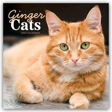 Text: "Ginger Cats 2027 Calendar". Eine ruhende orange Katze mit grünen Augen schaut direkt.