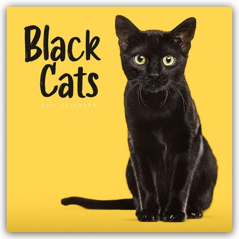 „Black Cats“, „2027 Calendar“. Eine schwarze Katze sitzt vor einem gelben Hintergrund.