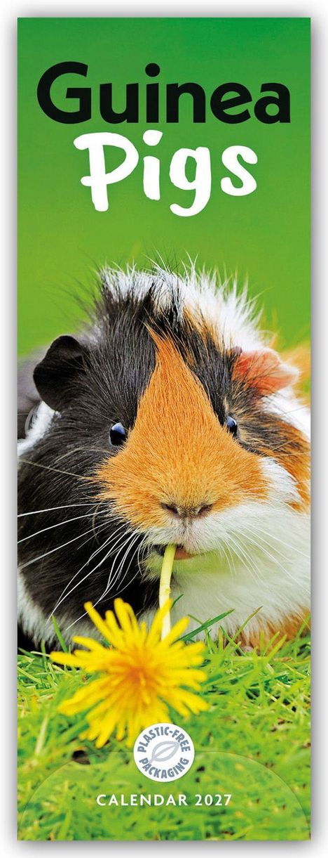 „Guinea Pigs“, „Plastic-Free Packaging“, „Calendar 2027“. Ein Meerschweinchen mit einer gelben Blume im Gras.